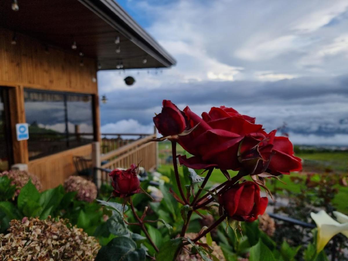 Hotel Cabanas Y Mirador Secret Garden Cr Cartago Exteriör bild